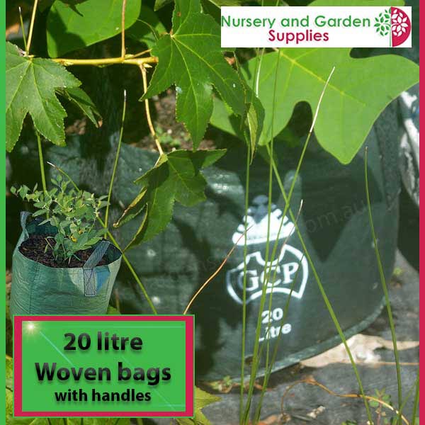 2.8 litre TALL Planter Bags - FREE SHIPPING