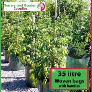 https://nurseryandgardensupplies.com.au/wp-content/uploads/2016/03/35-litre-woven-planter-bag-tree-bag-3-300x300.jpg