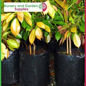 15 litre Poly Planter Bags at Nursery and Garden Supplies - for more info go to nurseryandgardensupplies.com.au