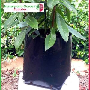5 litre Squat Poly Planter Bags at Nursery and Garden Supplies - for more info go to nurseryandgardensupplies.com.au