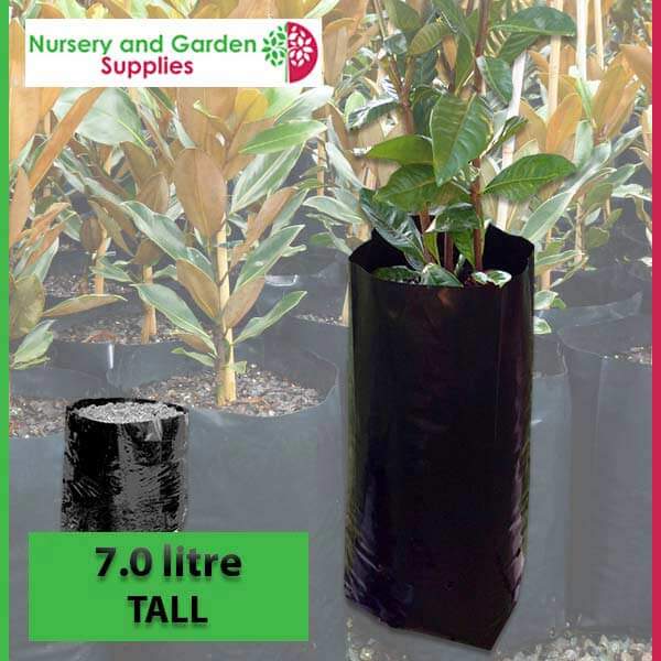 7 litre Tall Poly Planter Bags at Nursery and Garden Supplies - for more info go to nurseryandgardensupplies.com.au