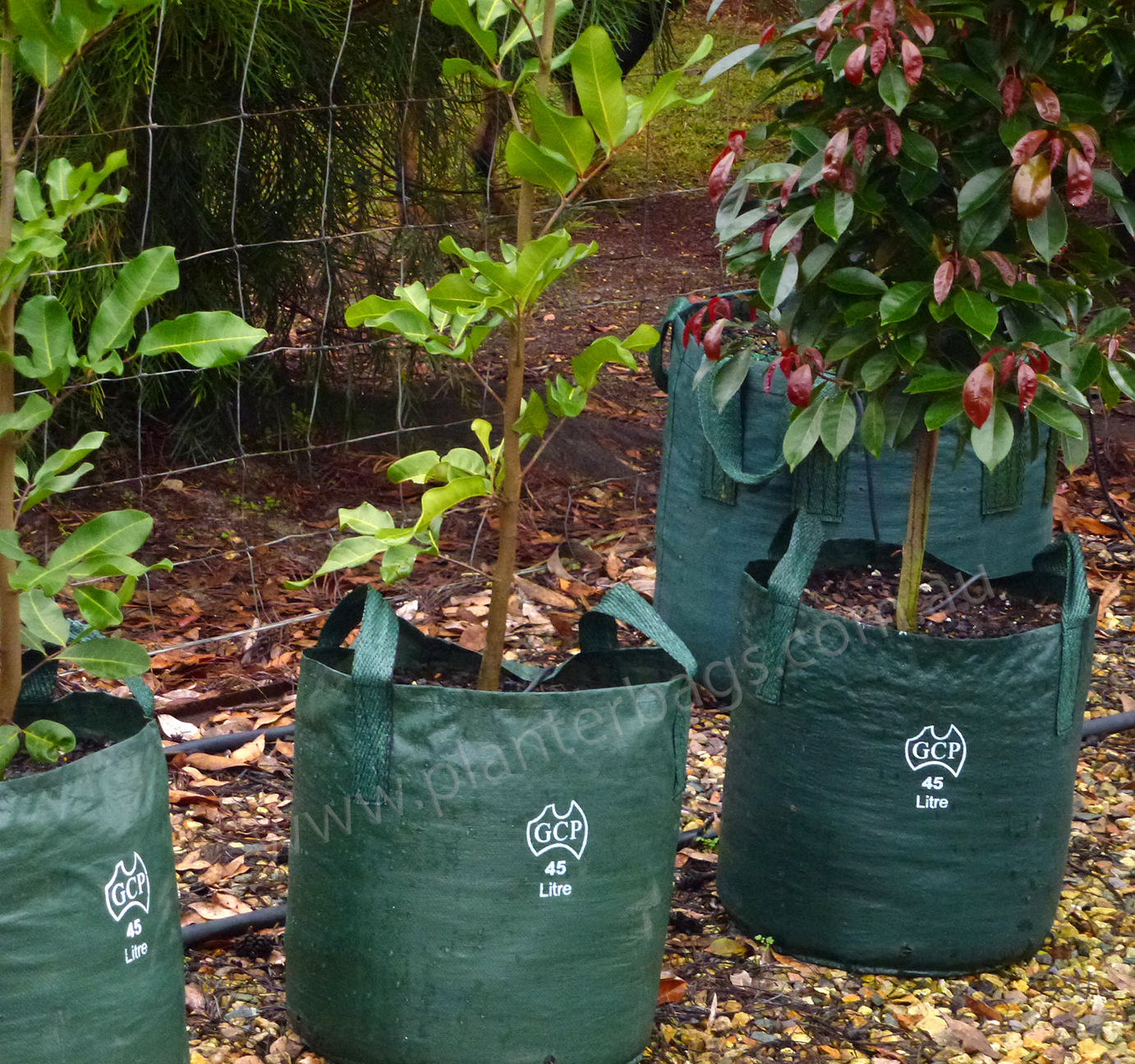 9 x 45 Litre Plant Tree Pot With Handles Heavy Duty 45L Lt Big Large Plastic 
