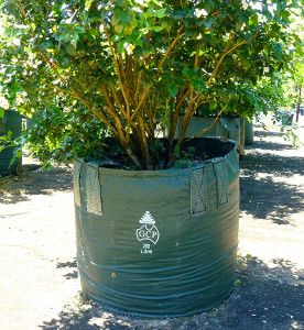 Planter Bags - https://nurseryandgardensupplies.com.au/product-category/planter-bags/