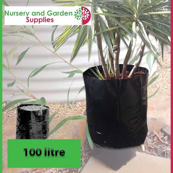 100 litre Poly Planter Bags at Nursery and Garden Supplies - for more info go to nurseryandgardensupplies.com.au