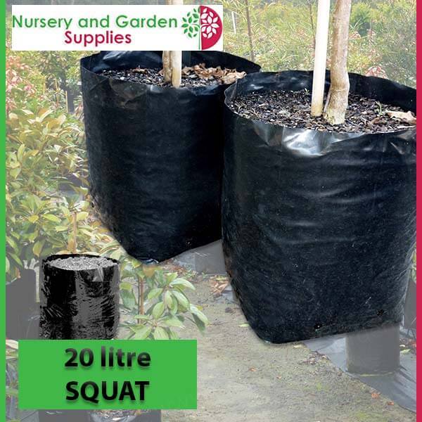20 litre Squat Poly Planter Bags at Nursery and Garden Supplies - for more info go to nurseryandgardensupplies.com.au