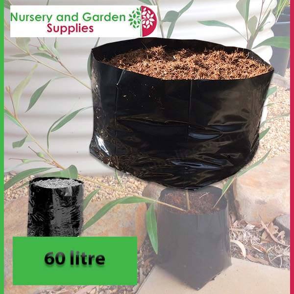 60 litre Squat Poly Planter Bags at Nursery and Garden Supplies - for more info go to nurseryandgardensupplies.com.au
