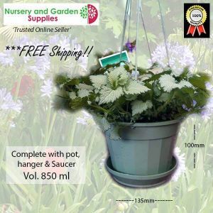 140mm Hanging pot Sage - for more info go to nurseryandgardensupplies.com.au