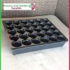 30 cell Seedling Tray - for more info go to nurseryandgardensupplies.com.au