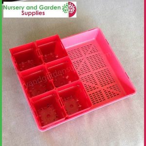 Seedling Tray Restricted Drainage with 100mm Square Punnet-Pot - for more info go to nurseryandgardensupplies.com.au