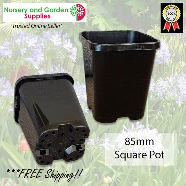 85mm Square plant pot black - for more info go to nurseryandgardensupplies.com.au