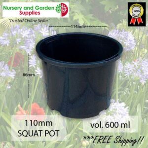 110mm Squat Plant Pot