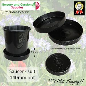 Saucer to suit 140mm - for more info go to nurseryandgardensupplies.com.au