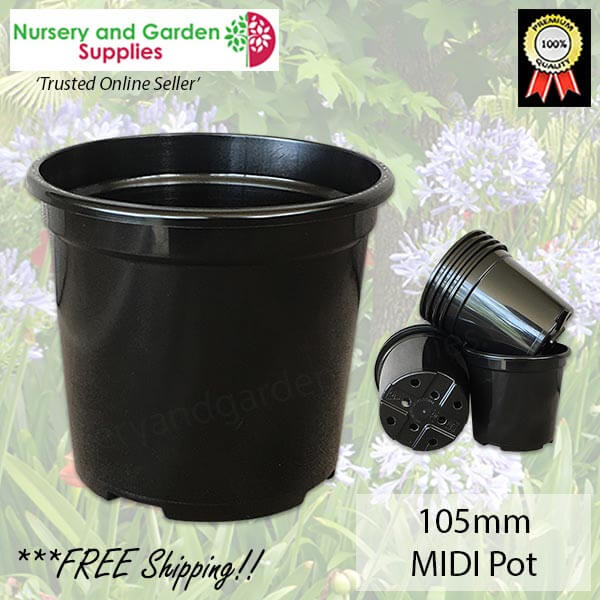 105mm Midi Pot - for more info go to nurseryandgardensupplies.com.au