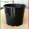 140mm Squat Plant Pot - for more info go to nurseryandgardensupplies.com.au