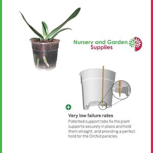 120mm Clear Phalaenopsis Pot - for more info go to nurseryandgardensupplies.com.au