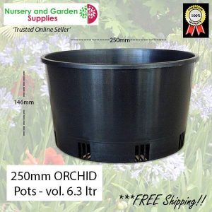 250mm ORCHID Squat Pot - for more info go to nurseryandgardensupplies.com.au