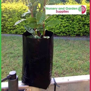 5 litre Tall Poly Planter Bags at Nursery and Garden Supplies - for more info go to nurseryandgardensupplies.com.au
