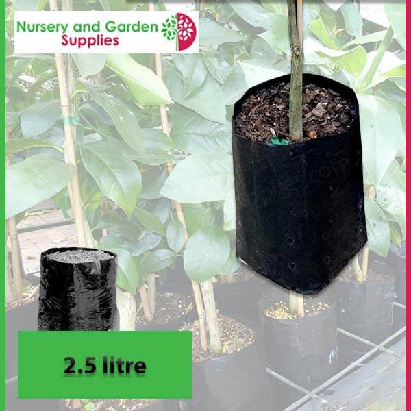 2.5 litre Poly Planter Bags at Nursery and Garden Supplies - for more info go to nurseryandgardensupplies.com.au