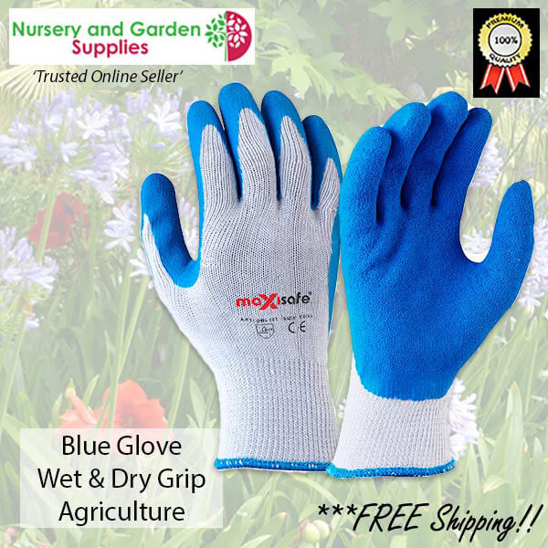 Wet dry Grip Durable Blue Agriculture Garden Glove - for more info go to nurseryandgardensupplies.com.au