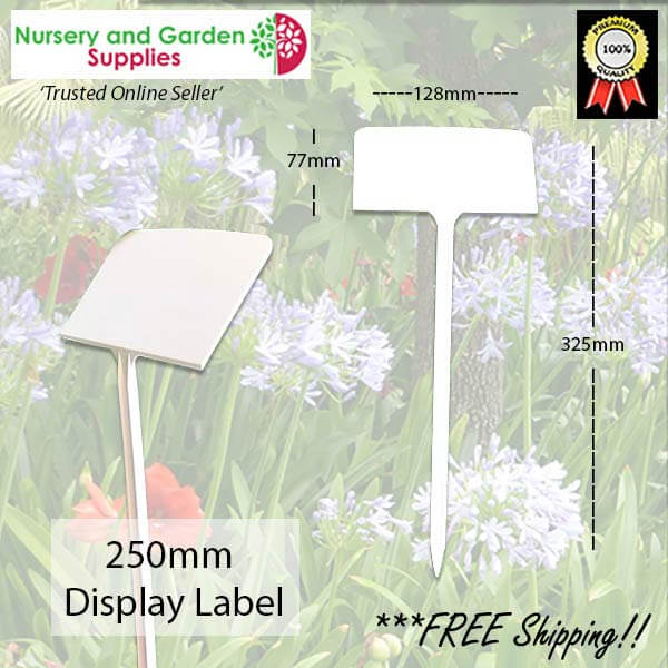 250mm white display plant label - for more info go to nurseryandgardensupplies.com.au