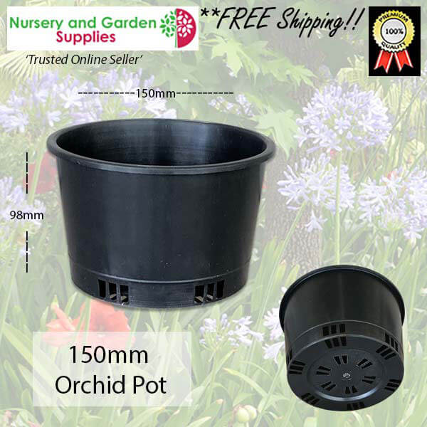 150mm ORCHID Squat Pot - for more info go to nurseryandgardensupplies.com.au