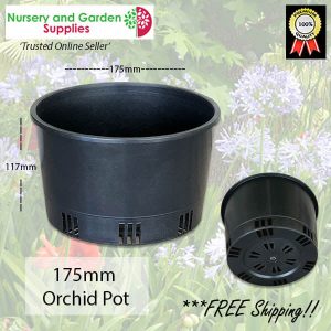 175mm ORCHID Squat Pot - for more info go to nurseryandgardensupplies.com.au