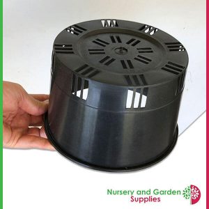 175mm ORCHID Squat Pot - for more info go to nurseryandgardensupplies.com.au