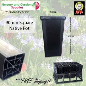 90mm Square Native Pot - for more info go to nurseryandgardensupplies.com.au