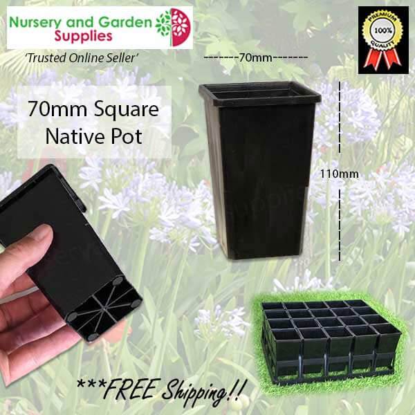 70mm Square Native Pot - for more info go to nurseryandgardensupplies.com.au