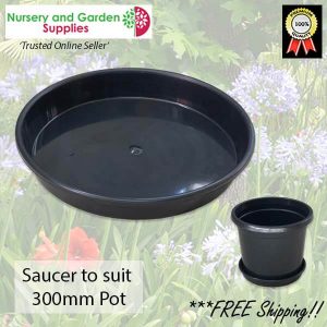 Saucer to suit 300mm Pot - for more info go to nurseryandgardensupplies.com.au