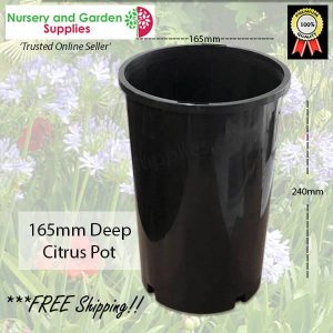 165mm Citrus Pot Deep - for more info go to nurseryandgardensupplies.com.au