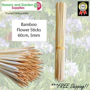 60cm Bamboo Sticks - for more info go to nurseryandgardensupplies.com.au