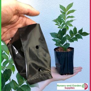 0.5 litre Squat Poly Planter Bags - for more info go to nurseryandgardensupplies.com.au