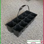 10 cell Seedling Punnet