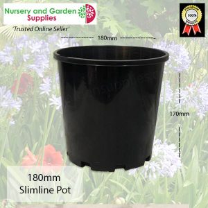 180mm Slimline Pot Black
