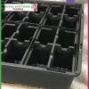 4 Cell Punnet Tray Combo