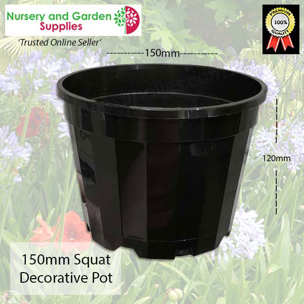 150mm Squat Pot Decorative Black