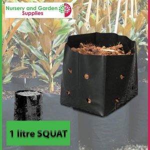 1 litre Squat Poly Planter Bags