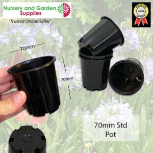 70mm Standard Plant Pot Black