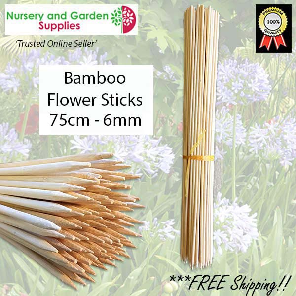 75cm Bamboo Flower Sticks