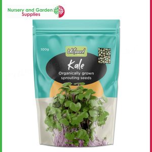 Organic Kale Sprouting Seeds