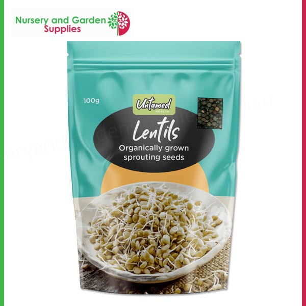 Organic Lentil Sprouting Seeds