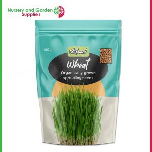 Organic Wheatgrass Sprouting Seeds