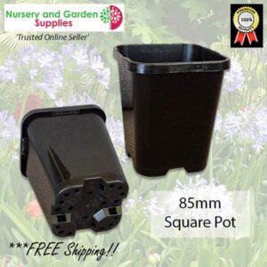 Square pots