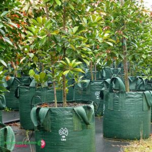 100 litre planter bags