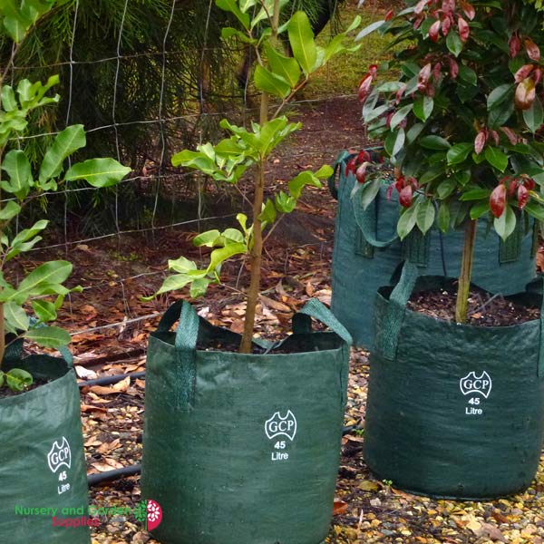 Felt Planter Bag - Air-Pruning Fabric Grow Pots - Dalen