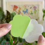 uBloomd Green Sticky Traps