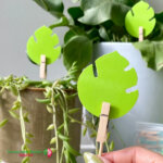 uBloomd Green Sticky Traps
