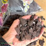 Kiwi Orchid Bark Potting Blend
