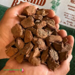 Kiwi Orchid Bark Grade 4 (20-25mm)